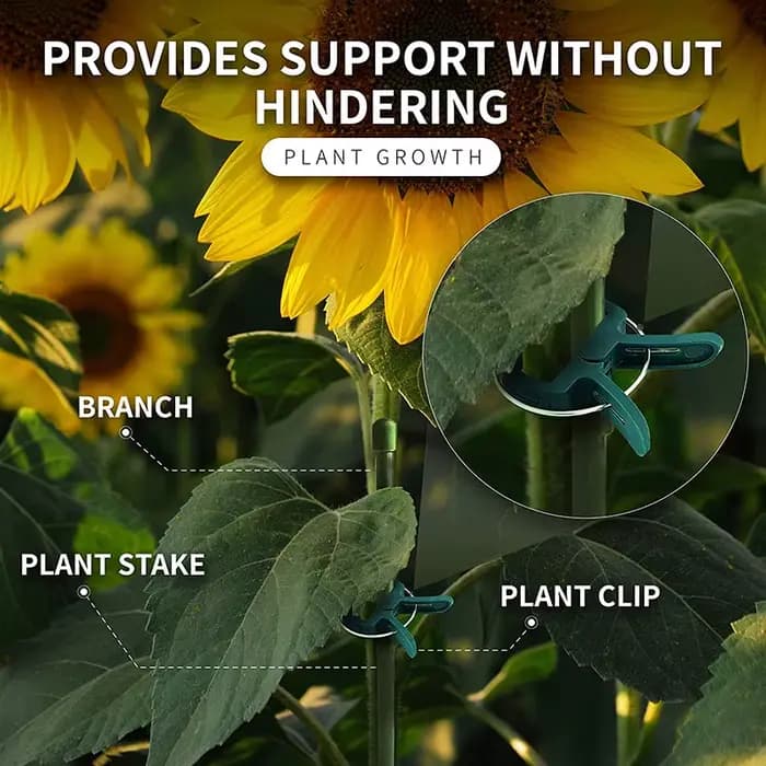 Clips fixes pour plantes 10-200, support de serre réutilisable pour fixer des tiges de fleurs, vigne