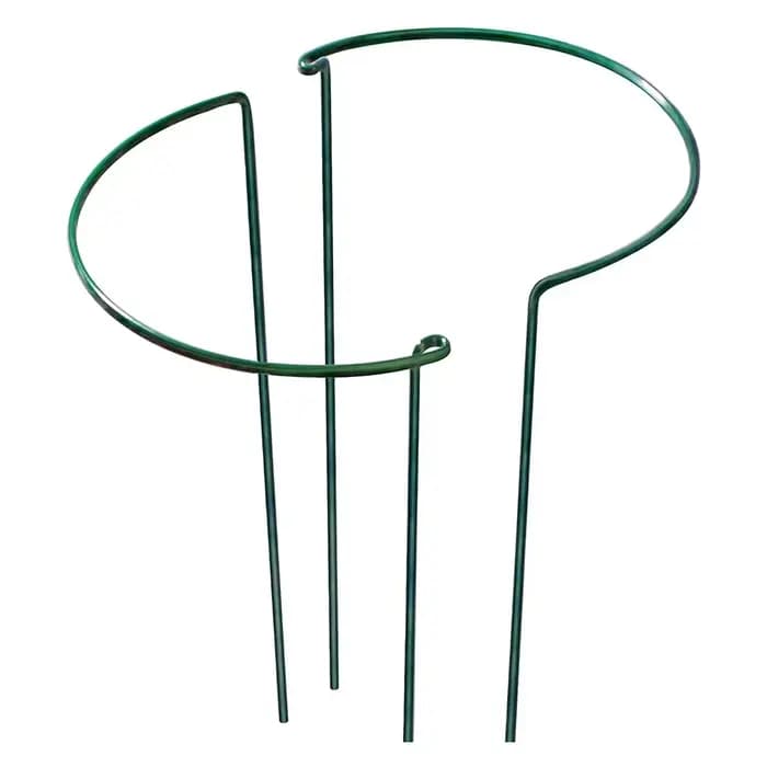 Piquets de Support de Plante en Métal Robuste, Bordure d'Anneau Vert pour Jardin, Fleur d'Hortensia