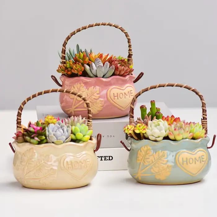 Jardinière succulente en céramique résistante à la Corrosion