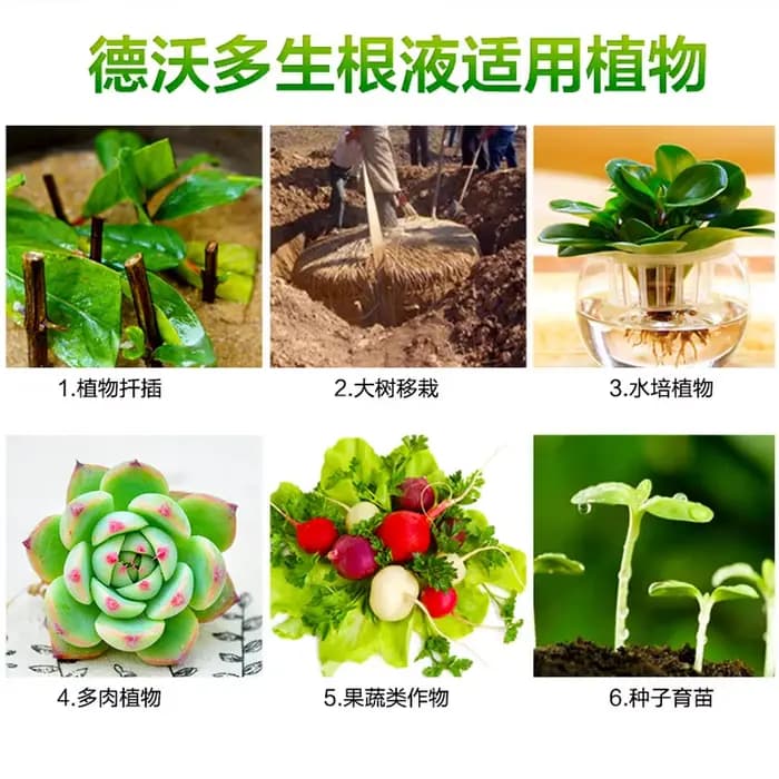 Convient à toutes sortes de fleurs et d'arbres pour utiliser le navigateur zer-Compound