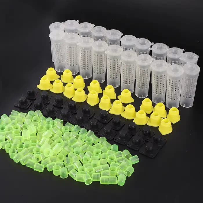 1 ensemble d'outils pour abeilles, Cages, système de gobelets d'élevage roi reine, boîte de receveur