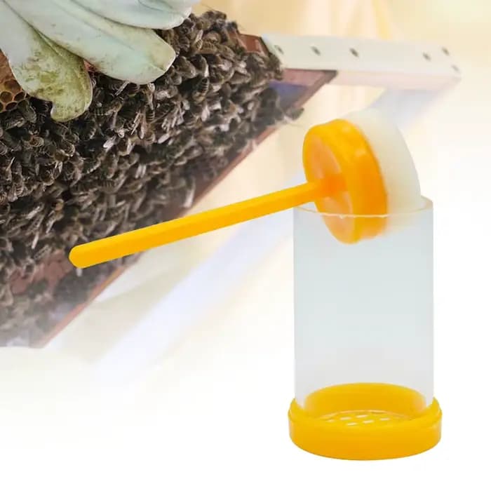 Piston pour apiculture reine des abeilles, outil de récupération de bouteilles étiqueté, fournitures