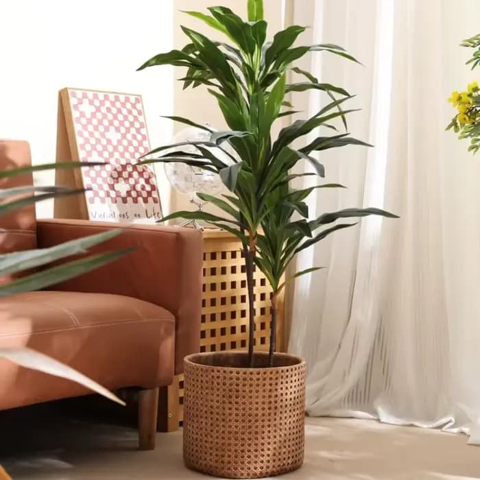 Grand Pot de fleur en bambou et boue de magnésium
