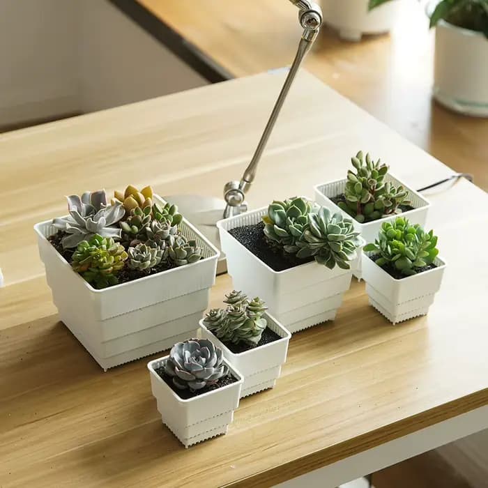 Pot de fleur en meshpot en plastique, jardinière succulente, semis quantiques, conteneur de pépinièr