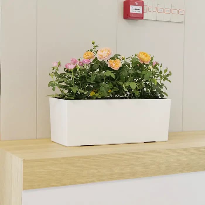 Pot de fleur à arrosage automatique avec indicateur de niveau d'eau