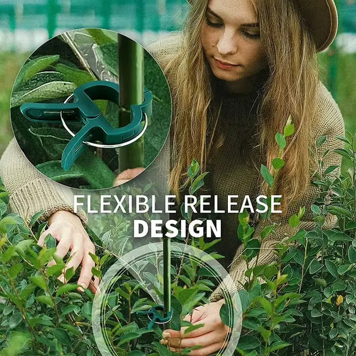 Clips fixes pour plantes 10-200, support de serre réutilisable pour fixer des tiges de fleurs, vigne
