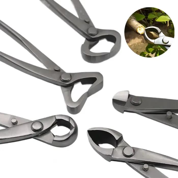 Kit d'outils d'élagage de bonsaï en acier inoxydable