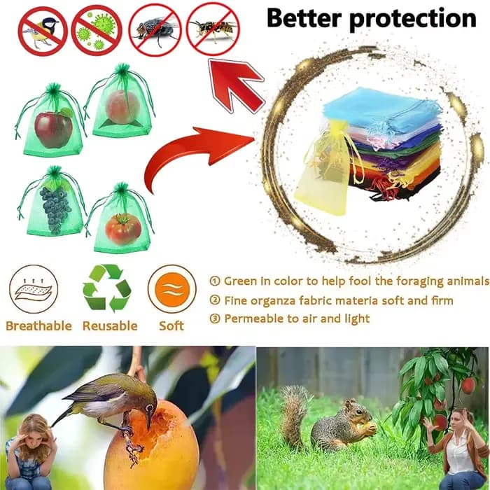 Sacs de Protection pour raisins et fruits, 500 à 50 pièces, sacs de culture, filet en maille pour pl