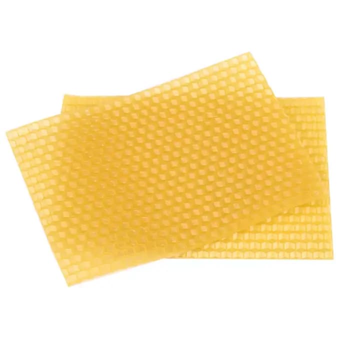 Ruche pour apiculture, 50 pièces, cadre de base en nid d'abeille, ruche de jardin, outils pour l'api