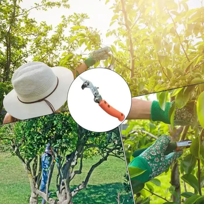 Coupe-annulation réglable en acier inoxydable pour arbres fruitiers, outil de taille et de débroussaillage, coupe-annulation de l'écorce pour jardinage