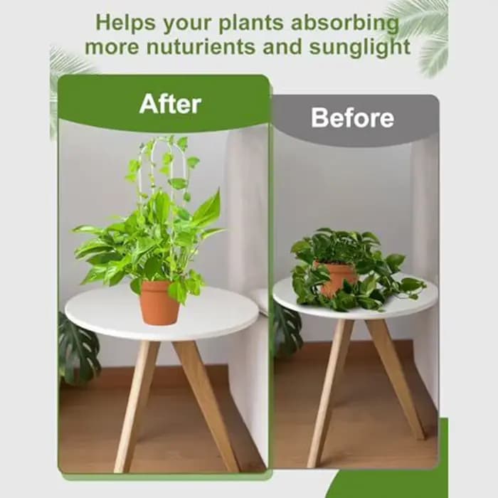 Support pour plantes en acrylique en forme de U, 2 pièces, cadre d'escalade élégant pour plantes, su