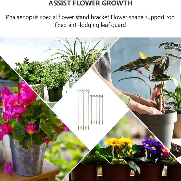 Support de plantes réutilisable, lot de 5 ou 10 pièces, anciers, fleurs, vigne, escalade, rapide, ac