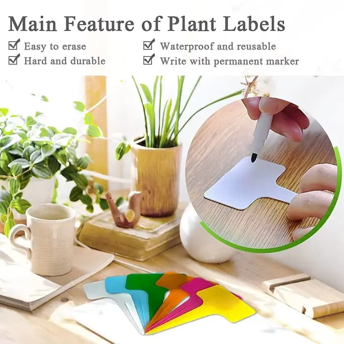 Étiquettes de plantes imperméables en plastique en forme de T, 30 pièces, 10CM, étiquettes de jardin