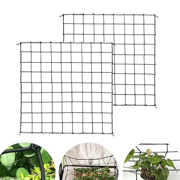 Filet de protection élastique en treillis pour arbres fruitiers, pour plantes grimpantes, tente de c