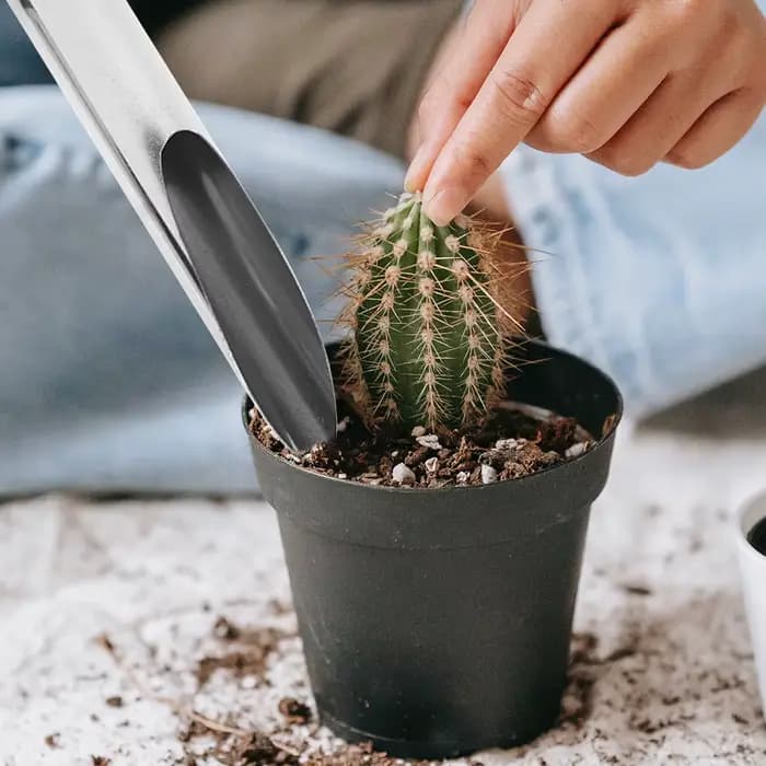 Cuillère à terre en acier inoxydable, ergonomique, portable, petit outil de jardinage pour la plantation, le creusement, le désherbage, la plantation de bonsaï, cuillère à terre pour potager