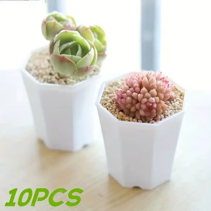 2/4//10 pièces de Pots de fleurs octogonaux blancs sont très adaptés aux cactus succulents et à la croissance des plantes intérieures et extérieures