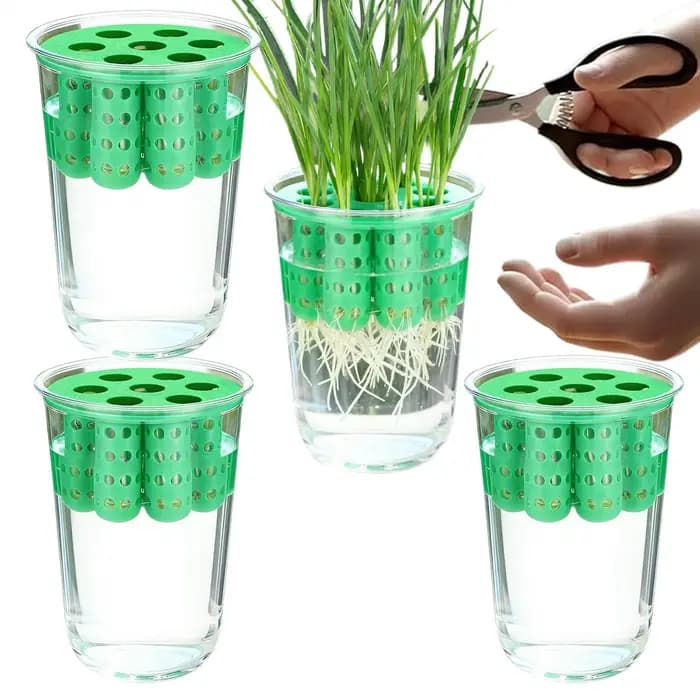 Pot de culture pour la repousse des oignons verts, Kit de germination hydroponique transparent pour pousses d'oignon