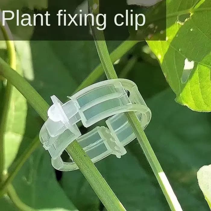 Clips de Support de plantes en plastique réutilisables