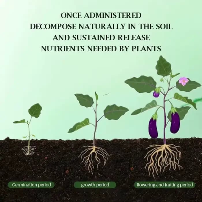L'engrais organique au phosphore à libération restée accélère la croissance des plantes comprimés nutritionnels potassium comprimé à libération lente fleurs