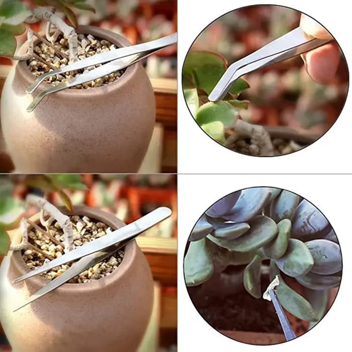 Ensemble d'outils de jardinage 12 pièces pour plantes