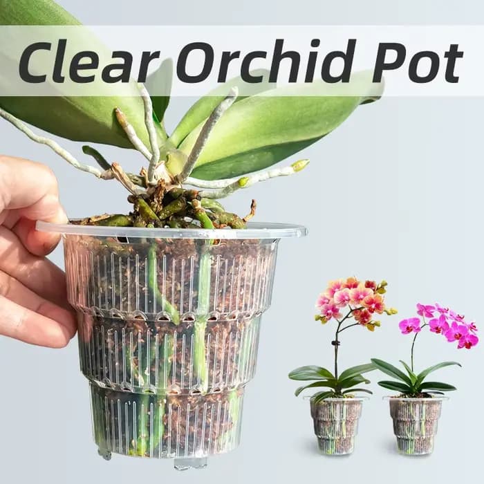 Meshpot-Pots d'orchidées en plastique transparent avec trous et S/05, petits planteurs d'orchidées,