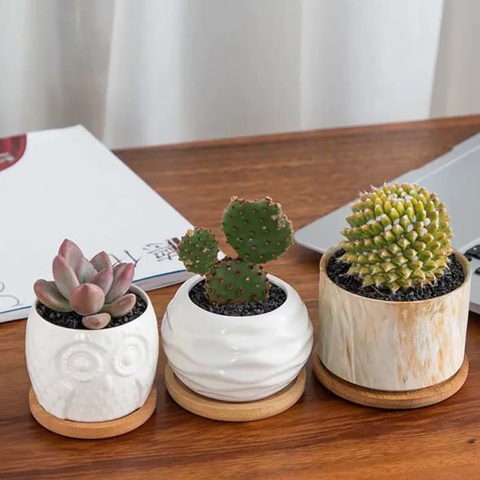 Pot de Fleurs Simple en Bois de Bambou, Rond, Carré, Hexagone, Rectangle, user inières de Base, Support pour Succulentes, Support pour Bonsaï, Décoration de Maison