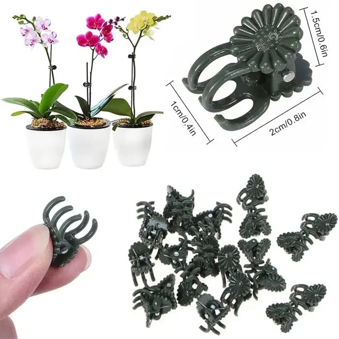 Pinces à Plantes de Vigne, Support pour Greffe de Tomate, Papillon, Orchidée, Fleurs, Accessoires de