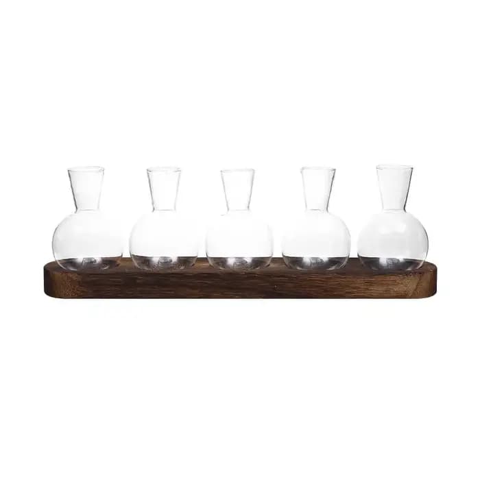 Terrarium en verre pour plantes avec plateau en bois – Pour vase hydroponique d'épandation intérieure