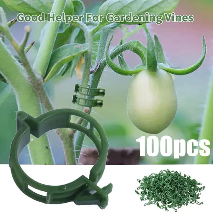 Pince de support en plastique pour plantes