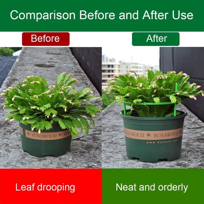 Support de plante verte durable, demi-rond, facile à utiliser, support de piquet de jardin parfait,