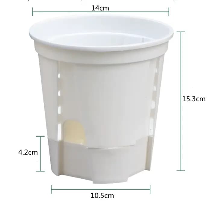 Pot d'orchidée transparent avec trous