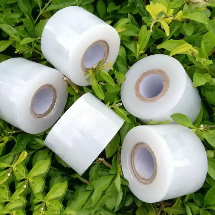 Ruban adhésif pour greffage de parafilm PE, accessoires auto-adhésifs pour arbres de jardin, plantes