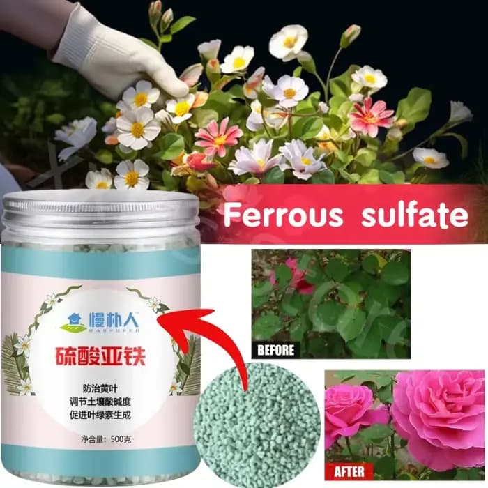 Engrais de fleurs de sulfate ferreux, 500g, amélioration du sol, acide, Rose, camélia, Laurel vert,