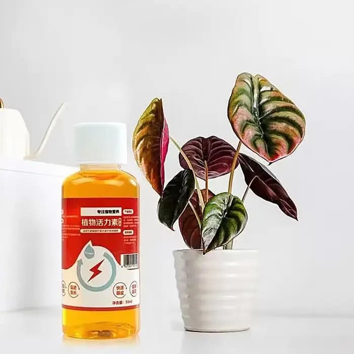 Prospérer pour les plantes 50ml Nutrition liquide