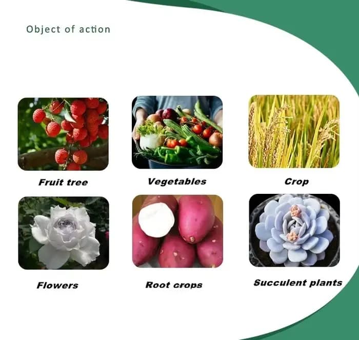 100g Monopotassium Phosphate MKP engrais Soluble dans l'eau floraison Booster pour fleurs Fruits et légumes | Aliment
