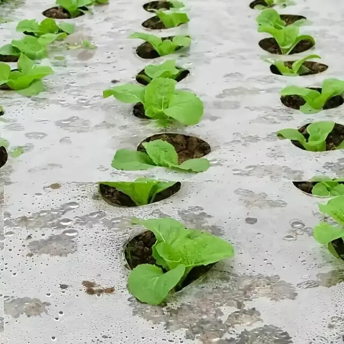 1 rouleau de film plastique perforé