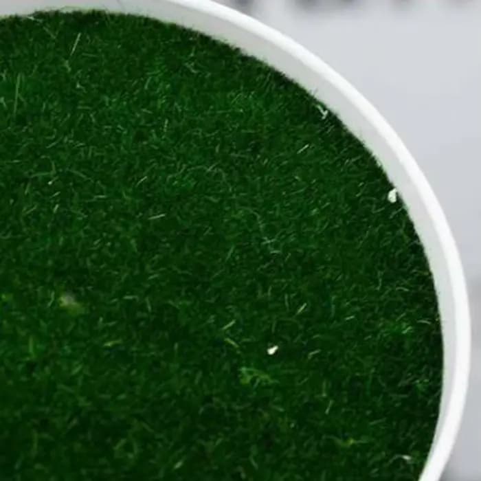 1 pièce Pot de pépinière en plastique pour plantes artificielles 13 cm
