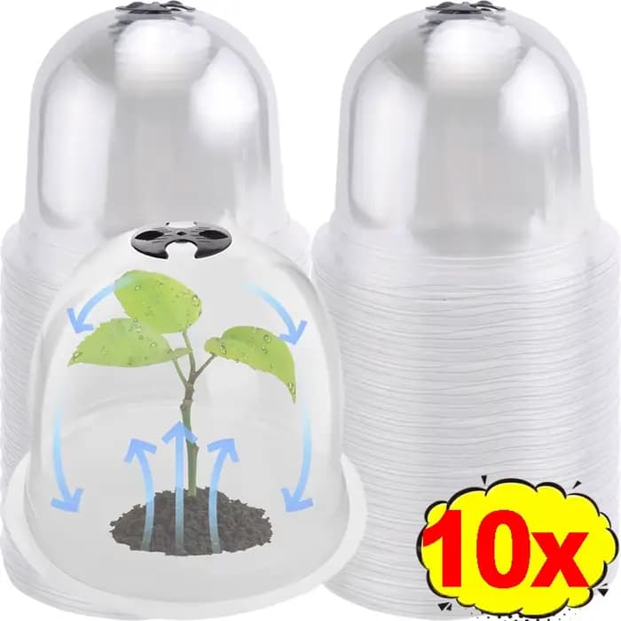 Mini cloches de serre en plastique réutilisables, 1/10 pièces, couverture isolante pour plantes de j