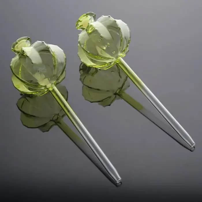 Cactus Cactus – Bulbes d'arrosage automatiques en verre pour plantes