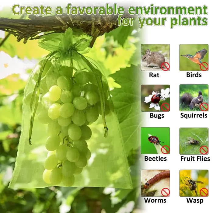 50/100 pièces Sacs de protection pour fruits avec cordon de serrage, sacs en filet anti-parasites po