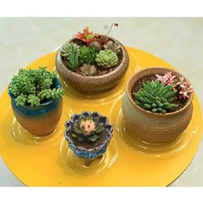 Plateau d'égouttage pour plantes de jardin, 10 pièces, Base ronde pour Pot, récipient de collation T