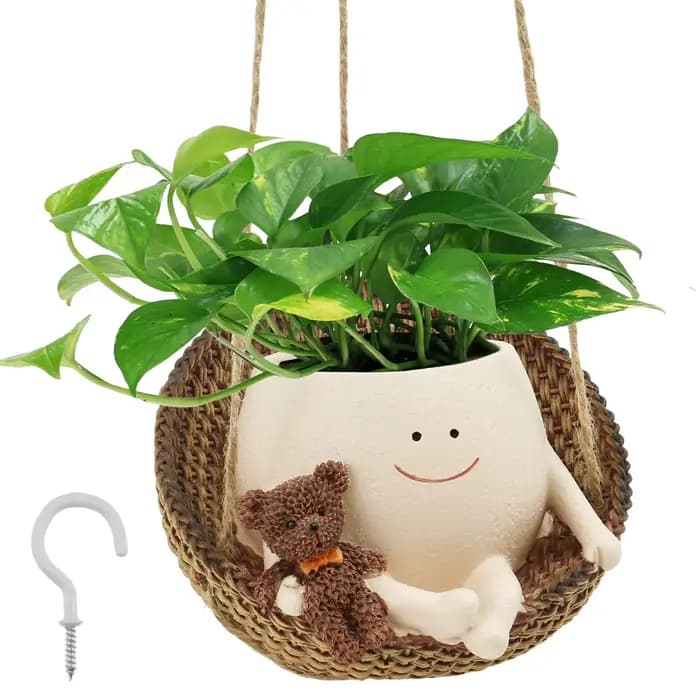 Pots décoratifs suspendus pour le visage