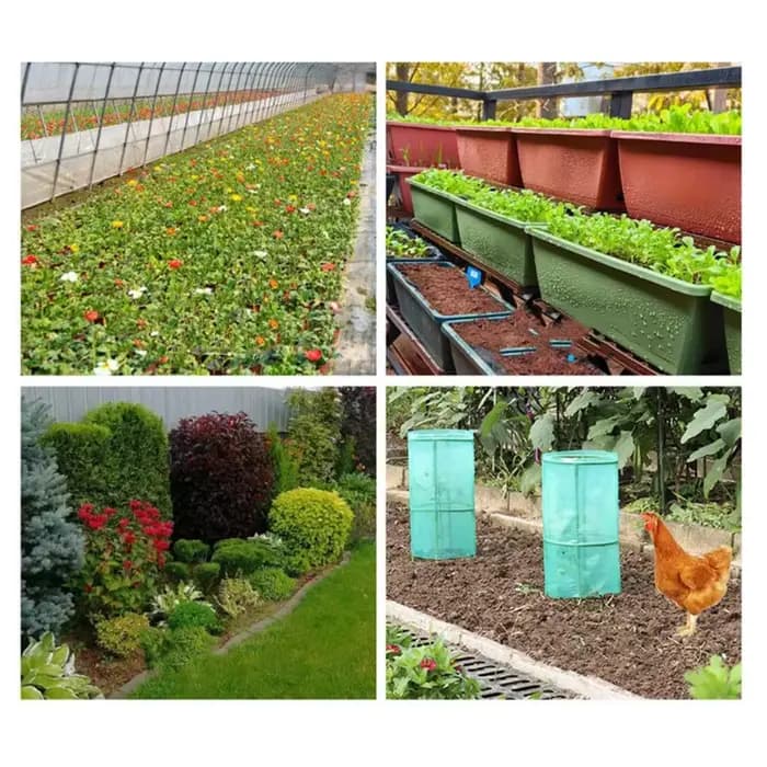 Couvercle de semis de plantes en plastique-pour jardin pour légumes fruits fleur cour Patio serre utilisation