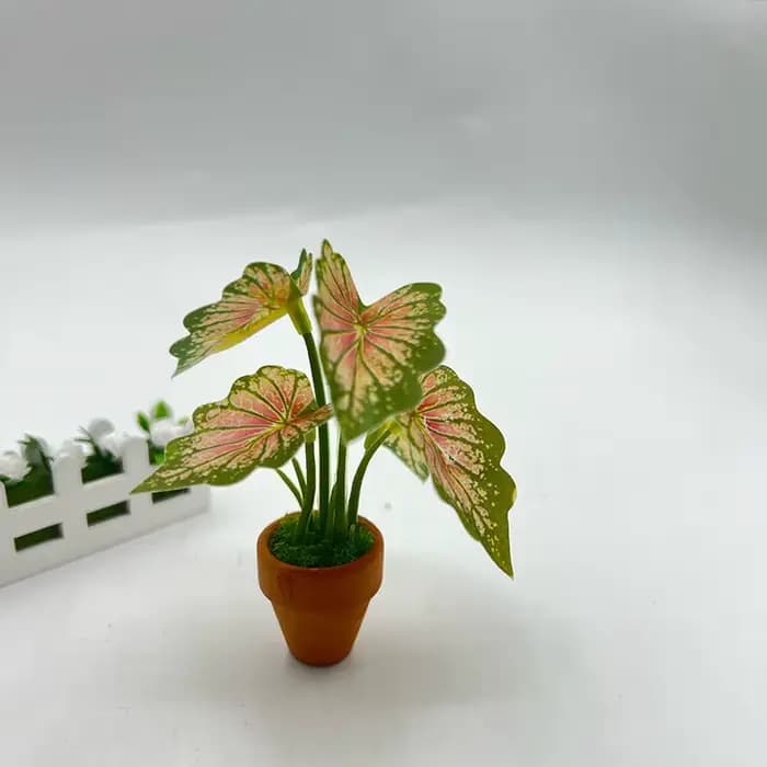 Mini plantes en pot vertes à dos de tortue Taro