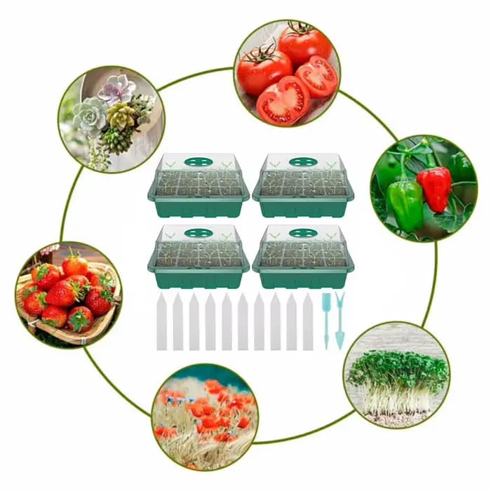 Mini serre intérieure à 12 compartiments, 4 pièces, serre de Propagation, boîte de pépinière avec év