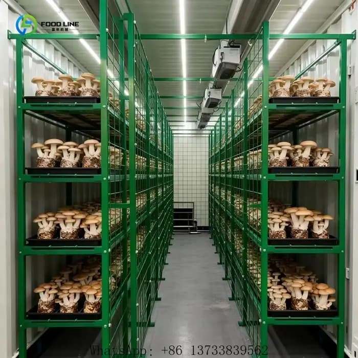 Serre de culture de champignons personnalisée de 20 à 40 pieds avec système de climatisation et étagères