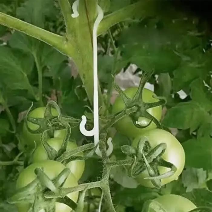 Crochets J de support de tomate pour plantes, pinces à légumes pour empêcher les grappes de fruits T