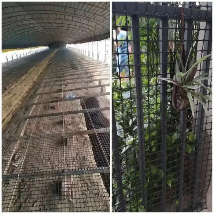 Clôture de jardin en plastique LatejMesh, clôture de sécurité pour sécuritaires, chat, animal de com