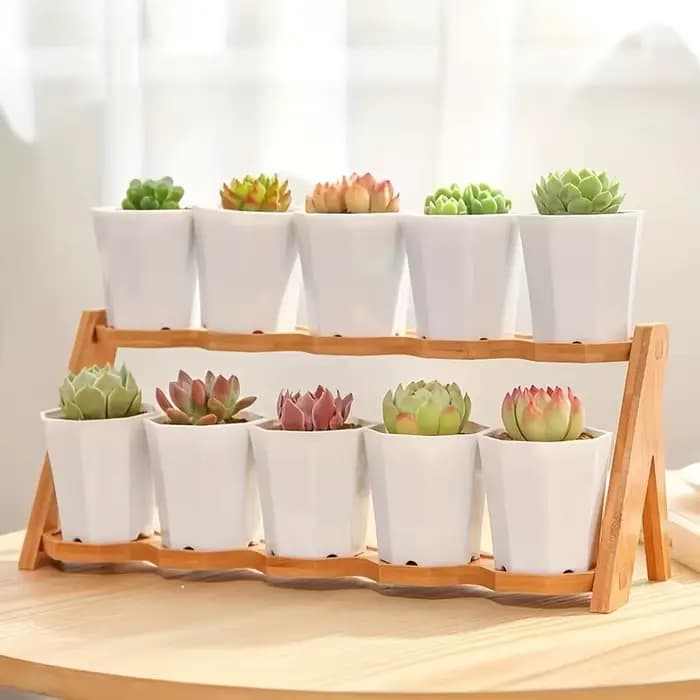 2/4//10 pièces de Pots de fleurs octogonaux blancs sont très adaptés aux cactus succulents et à la croissance des plantes intérieures et extérieures
