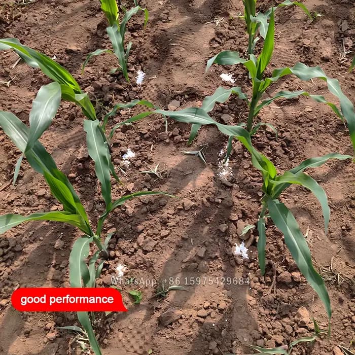 Applicateur d'engrais manuel en acier inoxydable, outil de fertilisation rapide pour les champs agricoles de légumes